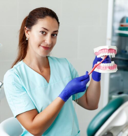 female-dentist-holding-a-sample-of-jaw-teeth-in-a-2024-09-23-01-23-44-utc.jpg